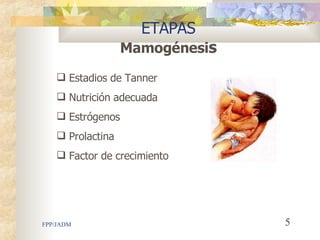 ETAPAS Mamogénesi s Estadios de Tanner Nutrición adecuada Estrógenos Prolactina Factor de crecimiento  epidérmico 
