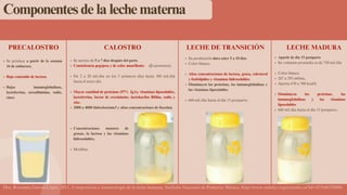 Precalostro Lactancia materna, recomendaciones para la madre | PDF
