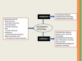 EXPOSICION PRECOZ
- Modo de parto
(microbios maternos)
- Dieta del Infante
(sustrato selectivo(
- Atbs
(muerte selectiva)
- Probioticos
(enriquecimiento selectivo)
- Medio ambienbte físico
(microbios del medio ambiente)
MICROBIOTA
INTESTINAL
DISBIOSIS
TOLERANCIA INMUNE
HOMEOSTASIS INTESTINAL
METABOLISMO SALUDABLE
ENFERMEDAD INMUNE
(atopía, asma, esclerosis
M´pultiple)
ENFERMEDAD INTESTINAL
(Enf. Inflamatoria intestinal,
ECN, Ca colon)
ENFERMEDAD METABOLICA
(diabetes, obesidad)
SIMBIOSIS
 