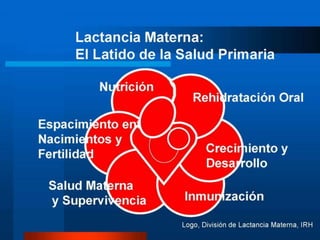 Lactancia materna y protección de la
obesidad infantil
La Lactancia materna protege contra la obesidad
infantil(Canadá)*
Un estudio sistemático y metaanálisis deestudios
epidemiológicos (cohortes,casos-
controles,estudiostransversales)
* KramerMS. J Pediatr1981; 98: 883 –7
** ArenzS et al. InternJ Obes2004; 28: 1247 –56
 