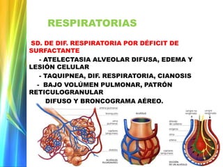 RESPIRATORIAS
SD. DE DIF. RESPIRATORIA POR DÉFICIT DE
SURFACTANTE
- ATELECTASIA ALVEOLAR DIFUSA, EDEMA Y
LESIÓN CELULAR
- TAQUIPNEA, DIF. RESPIRATORIA, CIANOSIS
- BAJO VOLÚMEN PULMONAR, PATRÓN
RETICULOGRANULAR
DIFUSO Y BRONCOGRAMA AÉREO.
 