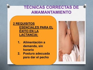 TÉCNICAS CORRECTAS DE
AMAMANTAMIENTO
2 REQUISITOS
ESENCIALES PARA EL
ÉXITO EN LA
LACTANCIA:
1. Alimentación a
demanda, sin
horario
2. Postura adecuada
para dar el pecho
 