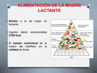 ALIMENTACIÓN DE LA MADRE
LACTANTE
O Similar a la de mujer no
lactante
O Ingesta diaria recomendada
2700 kcal
O El estado nutricional de la
madre no interfiere en la
calidad de leche
 