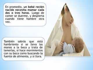 En promedio, un bebé recién
nacido necesita mamar cada
dos o tres horas. Luego de
comer se duerme, y despierta
cuando tiene hambre otra
vez.
También sabrás que está
hambriento si se lleva las
manos a la boca y trata de
lamerlas, si hace movimientos
con su boca como buscando la
fuente de alimento, y si llora.
 