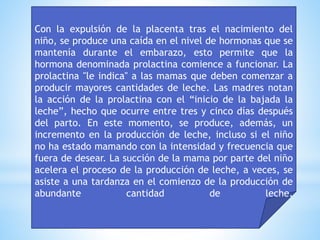 Con la expulsión de la placenta tras el nacimiento del
niño, se produce una caída en el nivel de hormonas que se
mantenía durante el embarazo, esto permite que la
hormona denominada prolactina comience a funcionar. La
prolactina "le indica" a las mamas que deben comenzar a
producir mayores cantidades de leche. Las madres notan
la acción de la prolactina con el “inicio de la bajada la
leche”, hecho que ocurre entre tres y cinco días después
del parto. En este momento, se produce, además, un
incremento en la producción de leche, incluso si el niño
no ha estado mamando con la intensidad y frecuencia que
fuera de desear. La succión de la mama por parte del niño
acelera el proceso de la producción de leche, a veces, se
asiste a una tardanza en el comienzo de la producción de
abundante cantidad de leche.
 