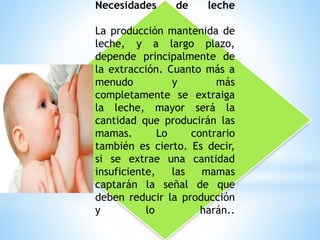 Necesidades de leche
La producción mantenida de
leche, y a largo plazo,
depende principalmente de
la extracción. Cuanto más a
menudo y más
completamente se extraiga
la leche, mayor será la
cantidad que producirán las
mamas. Lo contrario
también es cierto. Es decir,
si se extrae una cantidad
insuficiente, las mamas
captarán la señal de que
deben reducir la producción
y lo harán..
 