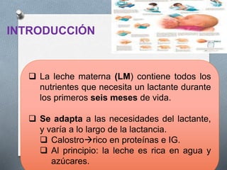 INTRODUCCIÓN
 La leche materna (LM) contiene todos los
nutrientes que necesita un lactante durante
los primeros seis meses de vida.
 Se adapta a las necesidades del lactante,
y varía a lo largo de la lactancia.
 Calostrorico en proteínas e IG.
 Al principio: la leche es rica en agua y
azúcares.
 