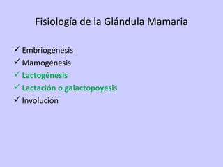 Fisiología de la Glándula Mamaria Embriogénesis Mamogénesis Lactogénesis Lactación o galactopoyesis Involución 