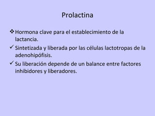 Prolactina Hormona clave para el establecimiento de la lactancia. Sintetizada y liberada por las células lactotropas de la adenohipófisis. Su liberación depende de un balance entre factores inhibidores y liberadores. 