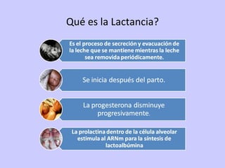Qué es la Lactancia? 