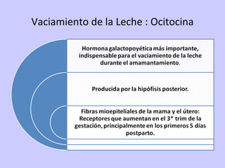 Vaciamiento de la Leche : Ocitocina 