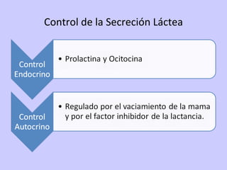 Control de la Secreción Láctea 
