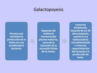 Galactopoyesis 