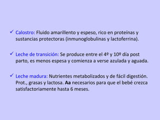 Calostro:  Fluido amarillento y espeso, rico en proteínas y sustancias protectoras (inmunoglobulinas y lactoferrina). Leche de transición:  Se produce entre el 4º y 10º día post parto, es menos espesa y comienza a verse azulada y aguada. Leche madura:  Nutrientes metabolizados y de fácil digestión. Prot., grasas y lactosa.  Aa  necesarios para que el bebé crezca satisfactoriamente hasta 6 meses. 