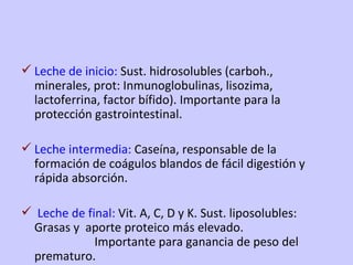 Leche de inicio:  Sust. hidrosolubles (carboh., minerales, prot: Inmunoglobulinas, lisozima, lactoferrina, factor bífido). Importante para la protección gastrointestinal. Leche intermedia:  Caseína, responsable de la formación de coágulos blandos de fácil digestión y rápida absorción. Leche de final:  Vit. A, C, D y K. Sust. liposolubles: Grasas y  aporte proteico más elevado.  Importante para ganancia de peso del prematuro. 