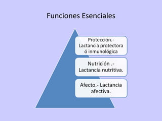 Funciones Esenciales 