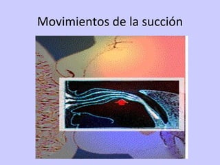 Movimientos de la succión 