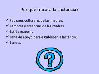 Por qué fracasa la Lactancia? Patrones culturales de las madres. Temores y creencias de las madres. Estrés materno. Falta de apoyo para establecer la lactancia. Etc,etc, 
