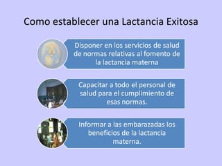 Como establecer una Lactancia Exitosa 