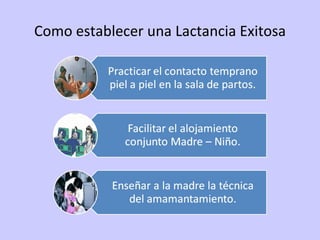 Como establecer una Lactancia Exitosa 