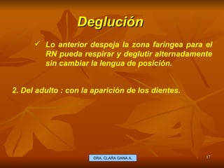 Deglución  E.U. Silvia Lagos A. Lo anterior despeja la zona faríngea para el RN pueda respirar y deglutir alternadamente sin cambiar la lengua de posición. 2. Del adulto : con la aparición de los dientes. DRA. CLARA GANA A. 