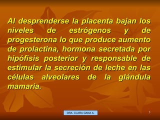 Al desprenderse la placenta bajan los niveles de estrógenos y de progesterona lo que produce aumento de prolactina, hormona secretada por hipófisis posterior y responsable de estimular la secreción de leche en las células alveolares de la glándula mamaria. E.U. Silvia Lagos A. DRA. CLARA GANA A. 