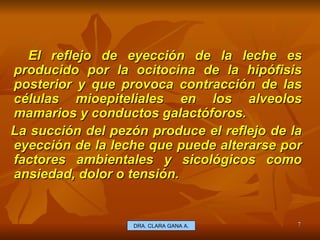 El reflejo de eyección de la leche es producido por la ocitocina de la hipófisis posterior y que provoca contracción de las células mioepiteliales en los alveolos mamarios y conductos galactóforos. La succión del pezón produce el reflejo de la eyección de la leche que puede alterarse por factores ambientales y sicológicos como ansiedad, dolor o tensión. E.U. Silvia Lagos A. DRA. CLARA GANA A. 