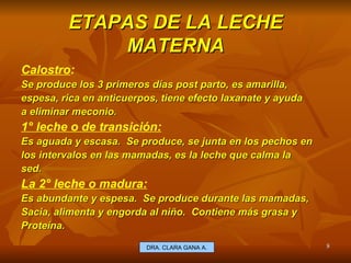 ETAPAS DE LA LECHE MATERNA Calostro : Se produce los 3 primeros días post parto, es amarilla, espesa, rica en anticuerpos, tiene efecto laxanate y ayuda a eliminar meconio. 1° leche o de transición: Es aguada y escasa.  Se produce, se junta en los pechos en los intervalos en las mamadas, es la leche que calma la sed. La 2° leche o madura: Es abundante y espesa.  Se produce durante las mamadas, Sacia, alimenta y engorda al niño.  Contiene más grasa y Proteína. E.U. Silvia Lagos A. DRA. CLARA GANA A. 