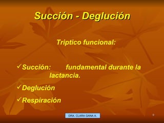 Succión - Deglución E.U. Silvia Lagos A. Triptico funcional: Succión: fundamental durante la lactancia. Deglución Respiración  DRA. CLARA GANA A. 