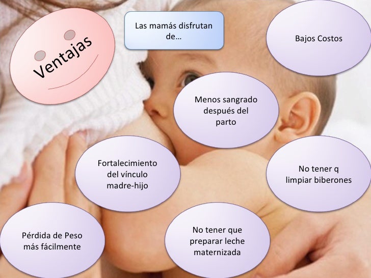 limpiar perra chorreo de leche limpiar perra chorreo de leche
