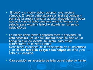   El bebé y la madre deben adoptar  una postura cómoda. El pezón debe alojarse al final del paladar y parte de la areola mamaria quedar atrapada en la boca, que es lo que el bebe presiona entre la lengua y el paladar para exprimir la leche situada en los senos galactóforos.  La madre debe tener la espalda recta y apoyada ( si está sentada). De ser así, deberá tener los pies en un banquito que los levante del suelo, para evitar contracturas de la zona lumbar. Debe tener la cabeza del niño apoyada en su antebrazo y es útil  dar también apoyo a las nalgas  del niño y no solo a su espalda. Otra posición es acostada de lado con el bebe de frente.  
