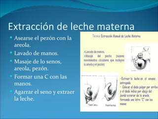 Extracción de leche materna
 Asearse el pezón con la
    areola.
   Lavado de manos.
   Masaje de lo senos,
    areola, pezón.
   Formar una C con las
    manos.
   Agarrar el seno y extraer
    la leche.
 