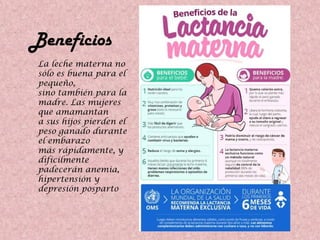 Beneficios
La leche materna no
sólo es buena para el
pequeño,
sino también para la
madre. Las mujeres
que amamantan
a sus hijos pierden el
peso ganado durante
el embarazo
más rápidamente, y
difícilmente
padecerán anemia,
hipertensión y
depresión posparto
 