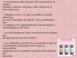 > Los primeros días después del nacimiento, la
madre
produce calostro, de gran valor nutritivo y
anti-infeccioso.
> Después el 3er o 4º día se produce la leche
materna,
la cual constituye un fluido vivo y cambiante
que
se adapta a los requerimientos nutricionales e
inmunológicos del niño.
> La leche humana tiene características propias
que
la diferencian de otras leches.
> Los elementos nutritivos y enzimáticos que la
constituyen y la proporción en que se
encuentran,
aseguran un crecimiento y desarrollos óptimos
del
lactante.
 