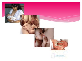 Lactancia materna