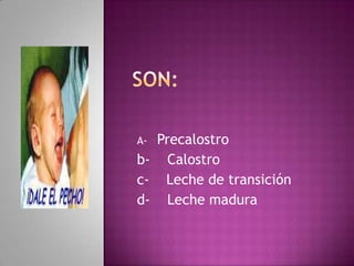 Precalostro Lactancia materna | PPTX