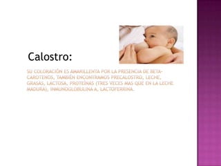 Precalostro Lactancia materna | PPTX