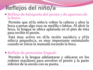 Reflejos del niño/a
 Reflejo de búsqueda del pezón y de apertura de
la boca:
Permite que el/la niño/a voltee la cabeza y abra la
boca a penas algo roza su mejilla o labios. Al abrir la
boca, la lengua se ubica aplanada en el piso de ésta
para recibir el pezón.
Está muy activo en el/la recién nacido/a y el/la

niño/a pequeño/a, es muy importante estimularlo
cuando se inicia la mamada tocando la boca.

 Reflejo de protusión lingual:

Permite a la lengua adelantarse y ubicarse en los
rodetes maxilares para envolver el pezón y la parte
inferior de la areola con su punta.

 