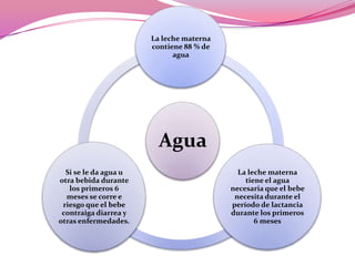 La leche materna
contiene 88 % de
agua

Agua
Si se le da agua u
otra bebida durante
los primeros 6
meses se corre e
riesgo que el bebe
contraiga diarrea y
otras enfermedades.

La leche materna
tiene el agua
necesaria que el bebe
necesita durante el
período de lactancia
durante los primeros
6 meses

 