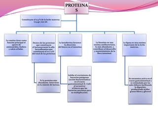 PROTEINA
S
Constituyen el 0.9 % de la leche materna
(0.9 gr./100 ml.

La caseína tiene como
función principal el
aporte de
aminoácidos, fosforo
y calcio al bebe.

Dentro de las proteínas
que constituyen
el lactosueroestá la alfalactoalbumina que
constituyen el 10 a 12%
del total de las proteínas

La lactoferrina favorece
la absorción
del hierro en el intestino

Es la proteína más
abundante. Interviene
en la síntesis de lactosa.

Inhibe el crecimiento de
bacterias patógenas
(acción bacteriostática)
en el tracto
gastrointestinal (E. Coli)
al secuestrar
el hierro que las
bacterias necesitan para
su multiplicación.

La lisozima en una
enzima antibacteriana,
la más abundante, y
contribuye al desarrollo
y mantenimiento de la
flora intestinal.

La lipasa es otra enzima
importante de la leche
materna.

Se encuentra activa en el
tracto gastrointestinal y
es estimulada por las
sales biliares facilitando
la digestión,
produciendo ácidos
grasos libres y glicerol

 
