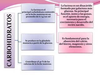 CARBOHIDRATOS

La lactosa es el
principal carbohidrato contenido
en la leche materna en un
promedio de 6-7 g/100 ml

Se produce en la glándula
mamaria a partir de la glucosa.

Contribuye al 40 % de las
calorías de la leche materna.

La lactosa es un disacárido
formado por galactosa más
glucosa. Su principal
función, junto a las grasas,
es el aporte de energía,
necesaria para el
crecimiento y desarrollo del
recién nacido.

Es fundamental para la
absorción del calcio,
del hierro, magnesio y otros
elementos.

 