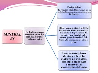 Calcio y fósforo
La relación calcio fósforo es de 2:1 en
la leche humana. Ambos se absorben
fácilmente.

MINERAL
ES

La leche materna
contiene todos los
minerales que el
bebe necesita

El hierro presente en la leche
humana se absorbe en un 50
% debido a la presencia de
lactoferrina, la acidez del
tracto gastrointestinal del
bebe y la presencia de zinc y
cobre

Las concentraciones
de zinc en la leche
materna no son altas,
son suficientes para
satisfacer las
necesidades del bebe

 