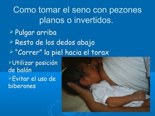 Como tomar el seno con pezones
planos o invertidos.
 Pulgar arriba
 Resto de los dedos abajo
 “Correr” la piel hacia el torax
Utilizar posición
de balón
Evitar el uso de
biberones
 