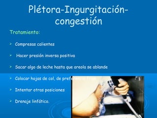 Plétora-Ingurgitación-
congestión
Tratamiento:
 Compresas calientes
 Hacer presión inversa positiva
 Sacar algo de leche hasta que areola se ablande
 Colocar hojas de col, de preferencia frías 
 Intentar otras posiciones
 Drenaje linfático.
 