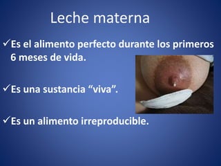 Leche materna
Es el alimento perfecto durante los primeros
6 meses de vida.
Es una sustancia “viva”.
Es un alimento irreproducible.
 