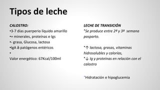 Tipos de leche
CALOSTRO:
•3-7 días puerperio líquido amarillo
•+ minerales, proteínas e Igs
•- grasa, Glucosa, lactosa
•IgA à patógenos entéricos
•
Valor energético: 67Kcal/100ml
LECHE DE TRANSICIÓN
*Se produce entre 2ª y 3ª semana
posparto.
*↑ lactosa, grasas, vitaminas
hidrosolubles y calorías,
*↓ Ig y proteínas en relación con el
calostro
*Hidratación e hipoglucemia
 