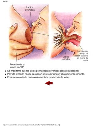 Es importante que los labios permanezcan evertidos (boca de pescado).q
Permita al recién nacido la succión a libre demanda y el alojamiento conjunto.q
El amamantamiento nocturno aumenta la producción de leche.q
ANEXO
http://www.encolombia.com/lactancia_tecnicas25.htm (7 of 7) [10/12/2000 09:25:43 a.m.]
 