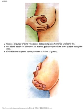 Coloque el pulgar encima y los dedos debajo del pezón formando una lecha "C".q
Los dedos deben ser colocados de manera que los depósitos de leche quedan debajo de
ellos.
q
Evite sostener el pecho con la palma de la mano. (Figura 9).q
ANEXO
http://www.encolombia.com/lactancia_extraccion26.htm (3 of 5) [10/12/2000 09:26:58 a.m.]
 