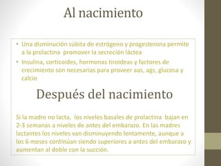 Al nacimiento
• Una disminución súbita de estrógeno y progesterona permite
a la prolactina promover la secreción láctea
• Insulina, corticoides, hormonas tiroideas y factores de
crecimiento son necesarias para proveer aas, ags, glucosa y
calcio
Después del nacimiento
Si la madre no lacta, los niveles basales de prolactina bajan en
2-3 semanas a niveles de antes del embarazo. En las madres
lactantes los niveles van disminuyendo lentamente, aunque a
los 6 meses continúan siendo superiores a antes del embarazo y
aumentan al doble con la succión.
 
