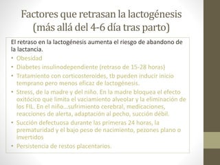 Factores que retrasan la lactogénesis
(más allá del 4-6 día tras parto)
El retraso en la lactogénesis aumenta el riesgo de abandono de
la lactancia.
• Obesidad
• Diabetes insulinodependiente (retraso de 15-28 horas)
• Tratamiento con corticosteroides, tb pueden inducir inicio
temprano pero menos eficaz de lactogénesis.
• Stress, de la madre y del niño. En la madre bloquea el efecto
oxitócico que limita el vaciamiento alveolar y la eliminación de
los FIL. En el niño…sufrimiento cerebral, medicaciones,
reacciones de alerta, adaptación al pecho, succión débil.
• Succión defectuosa durante las primeras 24 horas, la
prematuridad y el bajo peso de nacimiento, pezones plano o
invertidos
• Persistencia de restos placentarios.
 